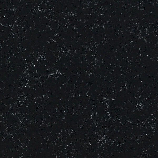 Veined Africa